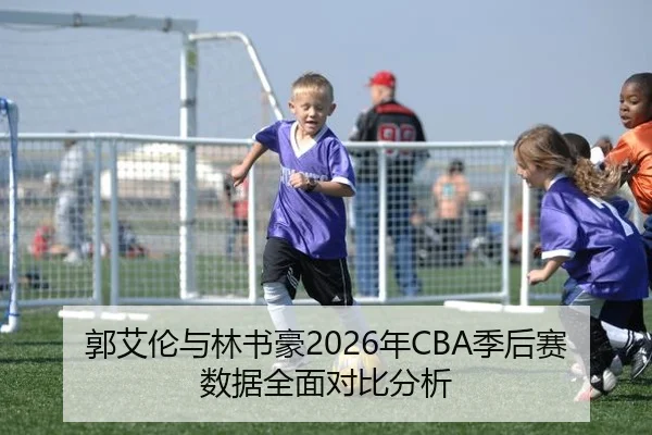 郭艾伦与林书豪2026年CBA季后赛数据全面对比分析